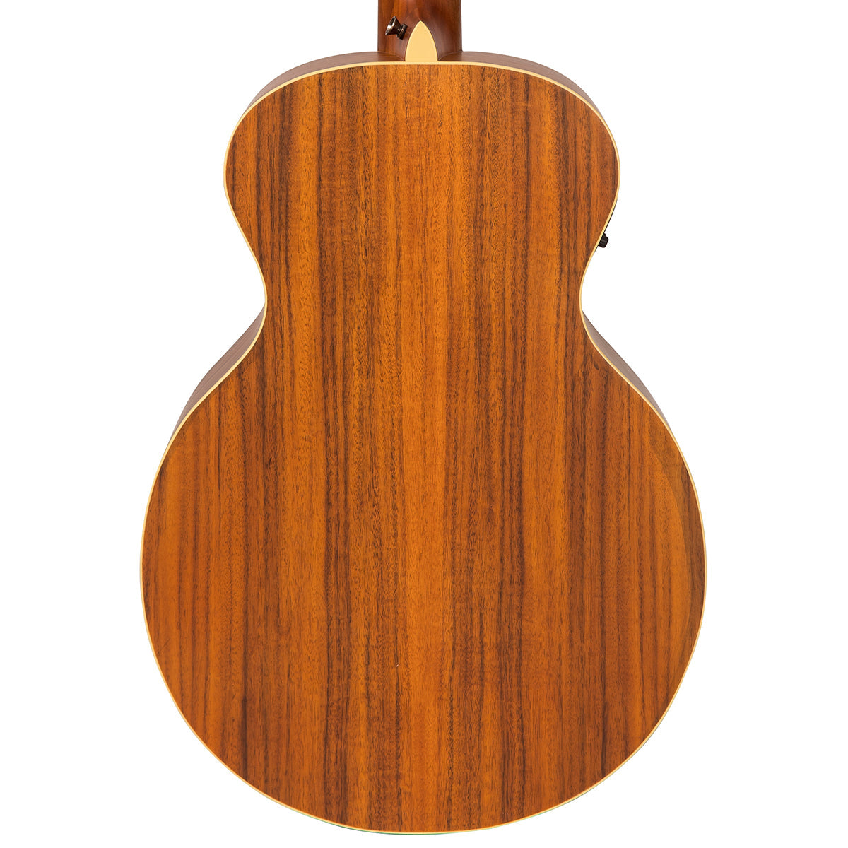 Satin Black Vintage 'Raven' Paul Brett Electro-Acoustic Guitar