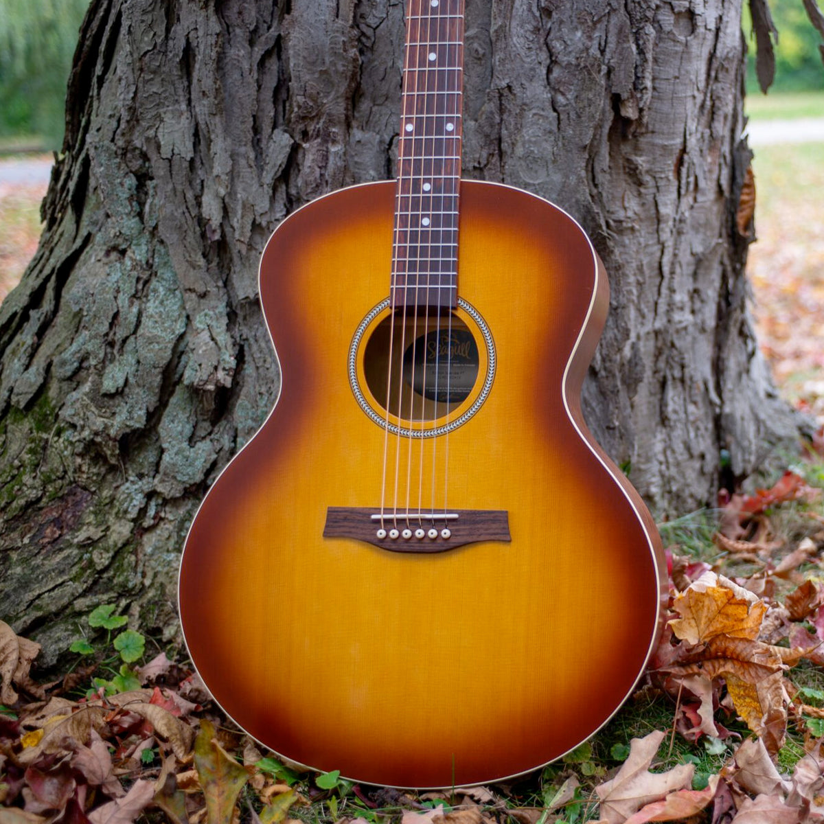 Rustic Burst Seagull Entourage Mini Jumbo Acoustic Guitar