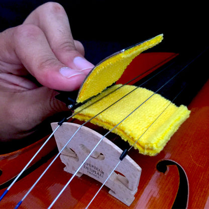 D'Andrea 'The String Cleaner' ~ Violin