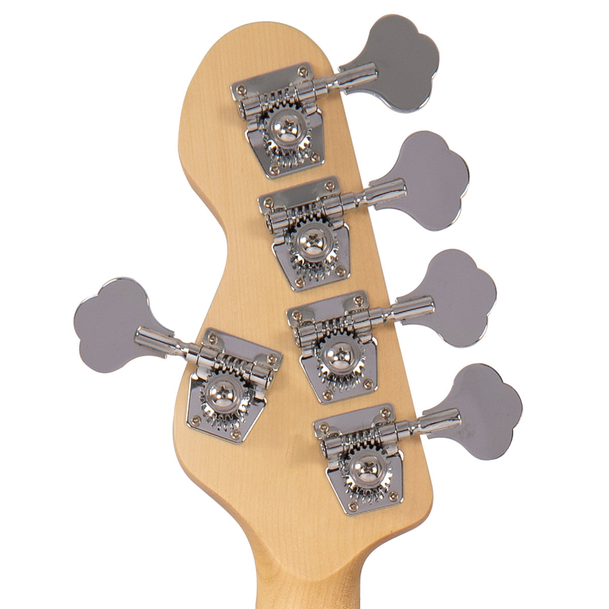Boulevard Black Vintage V495 Coaster Series 5-String Bass Guitar Pack